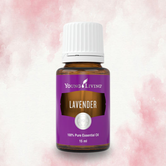 YL Lavender Essential Oil